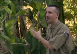 Picture of Eric Toensmeier at the perennial vegetable workshop in FL