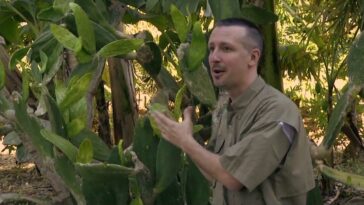 Picture of Eric Toensmeier at the perennial vegetable workshop in FL