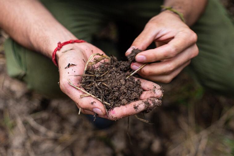 Picture of hands holding compost