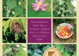 Imagine growing vegetables that require just about the same amount of care as the flowers in your perennial beds and borders―no annual tilling and potting and planting. They thrive and produce abundant and nutritious crops throughout the season. It sounds too good to be true, but in Perennial Vegetables author and plant specialist Eric Toensmeier (Edible Forest Gardens) introduces gardeners to a world of little-known and wholly underappreciated plants.