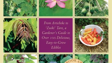 Imagine growing vegetables that require just about the same amount of care as the flowers in your perennial beds and borders―no annual tilling and potting and planting. They thrive and produce abundant and nutritious crops throughout the season. It sounds too good to be true, but in Perennial Vegetables author and plant specialist Eric Toensmeier (Edible Forest Gardens) introduces gardeners to a world of little-known and wholly underappreciated plants.