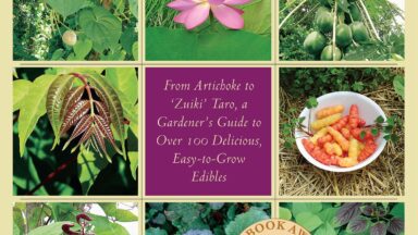Imagine growing vegetables that require just about the same amount of care as the flowers in your perennial beds and borders―no annual tilling and potting and planting. They thrive and produce abundant and nutritious crops throughout the season. It sounds too good to be true, but in Perennial Vegetables author and plant specialist Eric Toensmeier (Edible Forest Gardens) introduces gardeners to a world of little-known and wholly underappreciated plants.