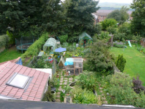 permaculture garden middle of city