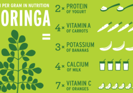 moringa nutritional benefits
