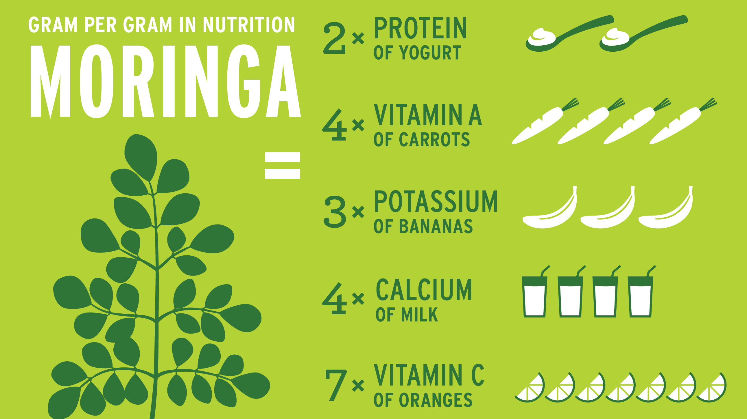 moringa nutritional benefits