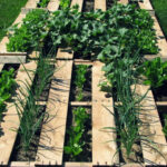 Pallet garden design with plants and soil