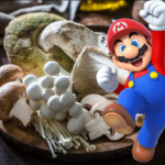 Super Mario and a basket of medicinal mushrooms