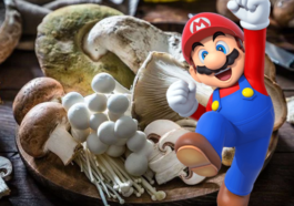 Super Mario and a basket of medicinal mushrooms