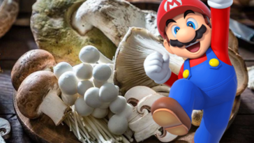 Super Mario and a basket of medicinal mushrooms