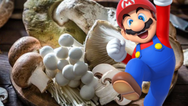 Super Mario and a basket of medicinal mushrooms
