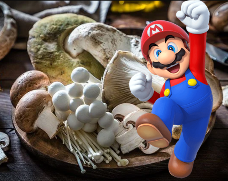 Super Mario and a basket of medicinal mushrooms