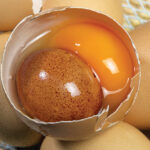 image of an open egg with another egg inside