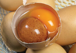 image of an open egg with another egg inside