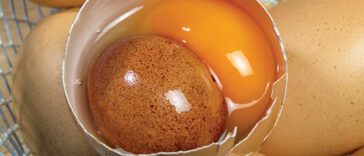 image of an open egg with another egg inside