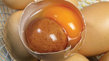 image of an open egg with another egg inside