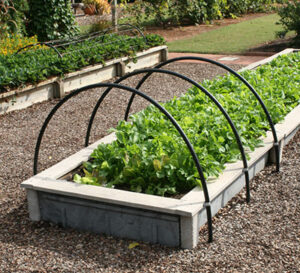 raised bed with hoops for sun cover