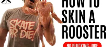 How to Skin a Rooster