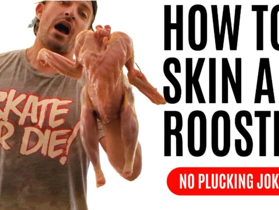 How to Skin a Rooster